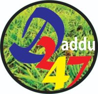Daddu247